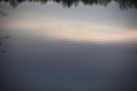mindfulness 2015, mar. 2015 mindfulness 2015