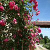 Domaine des Evis