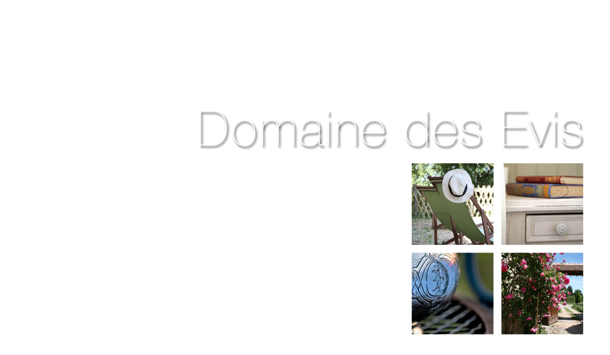Domaine des Evis