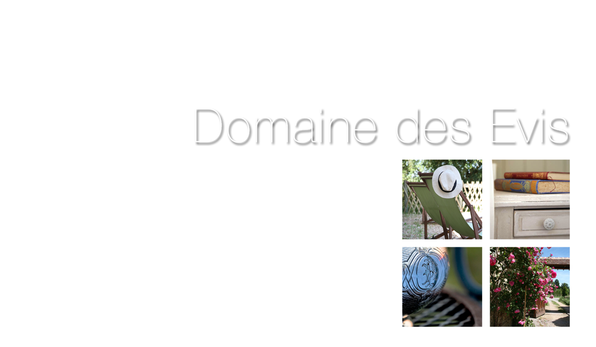 Domaine des Evis